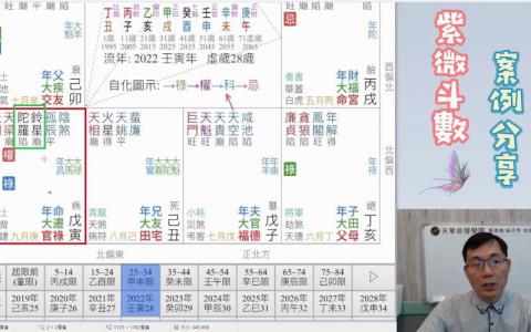 In the current year, Zi Wei Tian Fu is in the Palace of Husband and Wife (What does it mean when the Zi Wei in the Palace of Husband and Wife is strong in the Temple of Tian Fu)