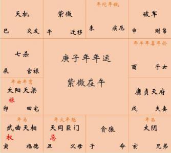 Yearly Zi Wei Chart (Zi Wei Natal Chart Heavenly Chart, Earthly Chart, Human Chart)