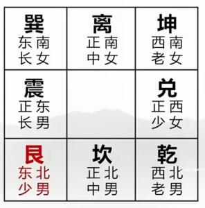 Liunan Ziwei (Difference between Ziwei Douji and Da Liunan)