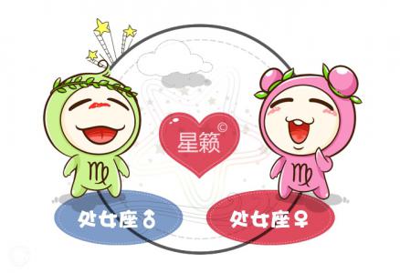 Virgo and Virgo Zodiac Sign Compatibility Index