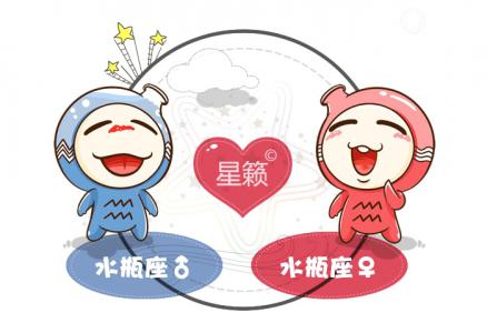 Aquarius and Aquarius Zodiac Sign Compatibility Index
