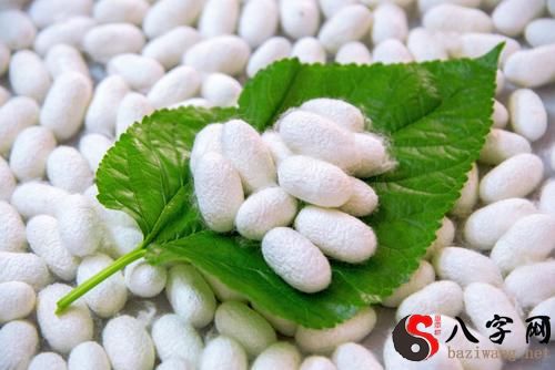 Dreaming of silkworm cocoons