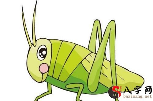 Dreaming of a grasshopper drilling into your ear