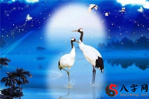 Dreaming of cranes