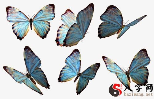 Dreaming of fluttering butterflies