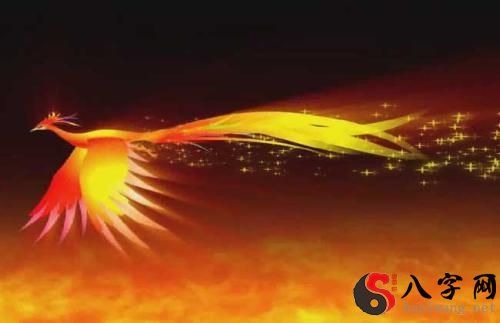 Dreaming of a phoenix shedding tears