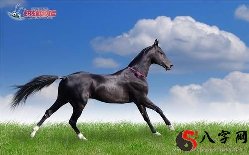 Dreaming of running on a horse