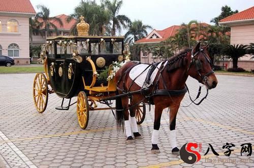 Dreaming of a carriage running