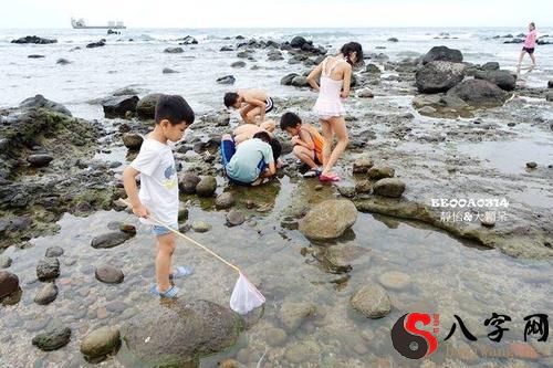 Dreaming of catching crabs with others