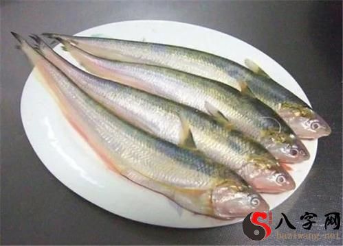Dreaming of a dead river-dried swordfish