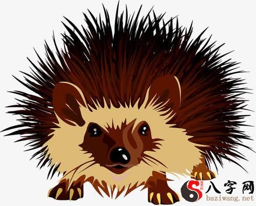 Dreaming of hedgehogs sticking their hands