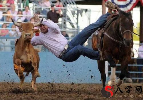 Dreaming of riding a bull