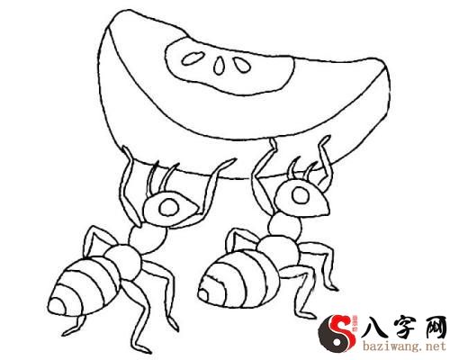 Dreaming of ants carrying food