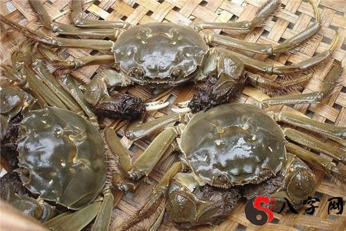 Dreaming of buying crabs