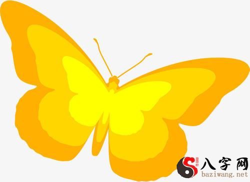 Dreaming of yellow butterflies
