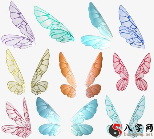 Dreaming of butterfly wings