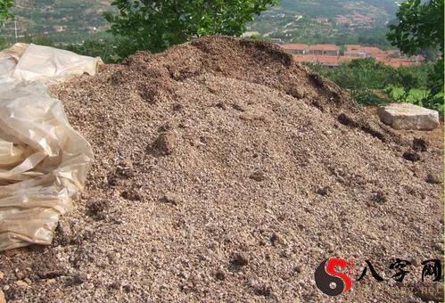 dream of chicken manure