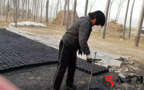 Dreaming of making honeycomb coal