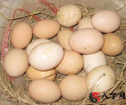 Dreaming of being given eggs