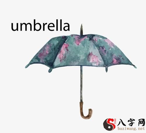 Dreaming of Flower Umbrellas