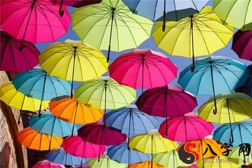 Dreaming of a company handing out umbrellas