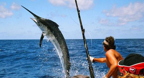 Dreaming of catching a big fish