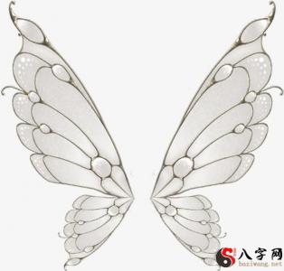Dreaming of pulling butterfly wings