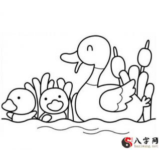 Dreaming of ducklings swimming