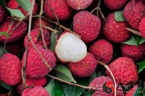 Dreaming of stealing lychees to eat