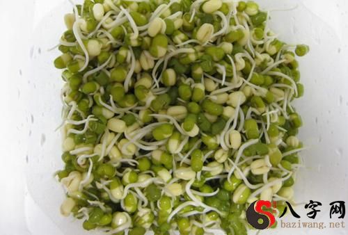 Dreaming of bean sprouts sprouting