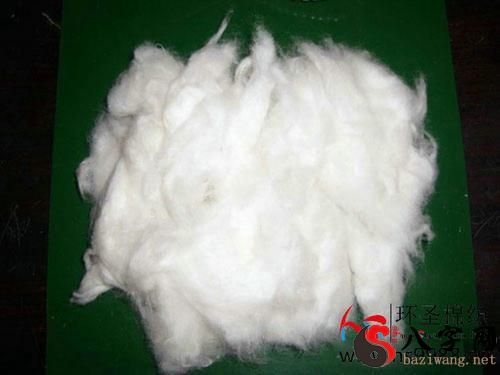 Dreaming of white cotton