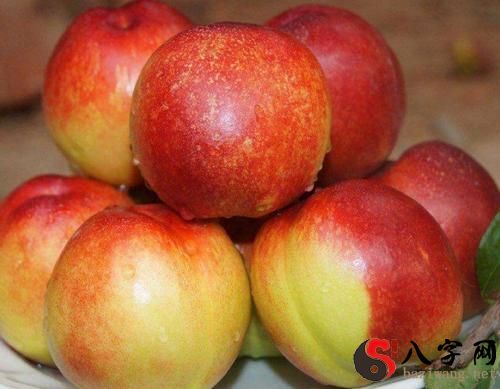 Dreaming of nectarines