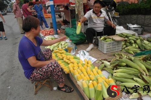 Dreaming of selling corn