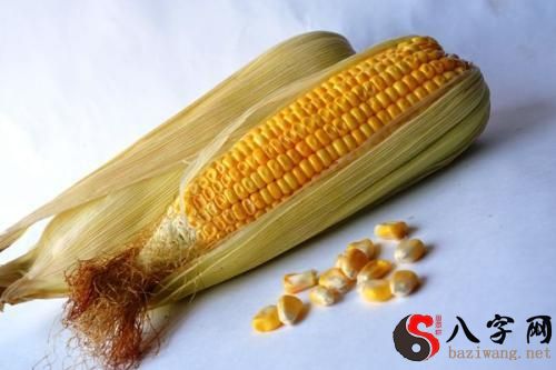 Dreaming of corn on the cob