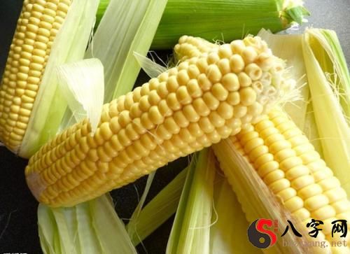 Dreaming of green corn
