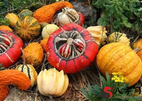 Dreaming of being chased by a pumpkin