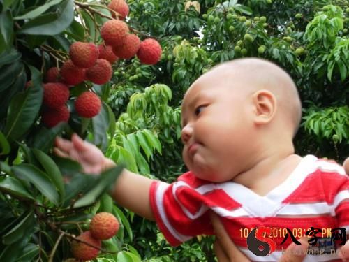 Dreaming of stealing fruit