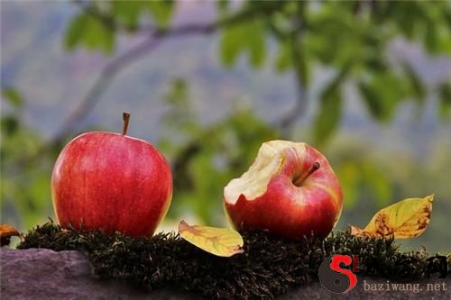 Dreaming of sharing an apple with another person