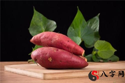 Dreaming of planting sweet potatoes