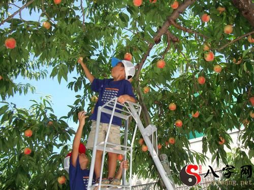 Dreaming of picking another man's peaches