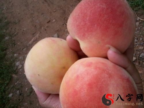 I dreamt I was given peaches