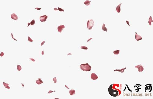 Dreaming of rose petals falling apart