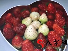 Dreaming of black strawberries
