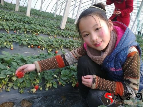 Dreaming of picking strawberries big and red