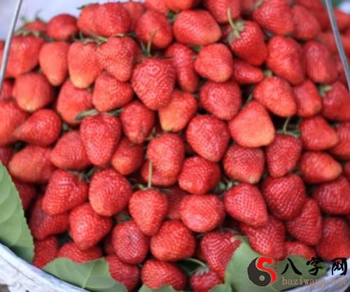 Dreaming of lots of strawberries