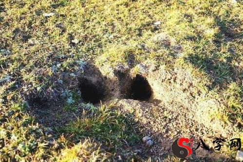 Dreaming of sleeping in a grave