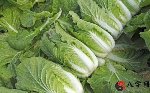 What does dreaming about cabbage mean?