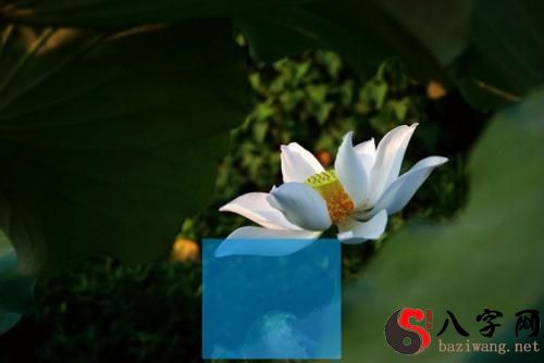 Dreaming of chanting Buddha's name