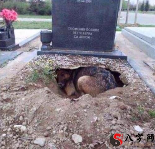 Dreaming of digging up a lot of things from a grave