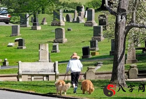 Dreaming of walking in a grave
